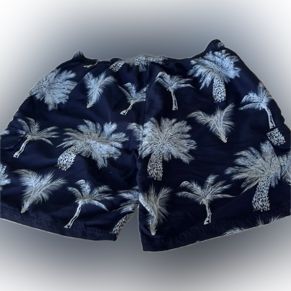 Men’s Swim Trunks